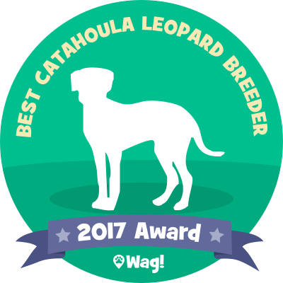 Wag! Breed Wag! - Dog Walking & Boarding