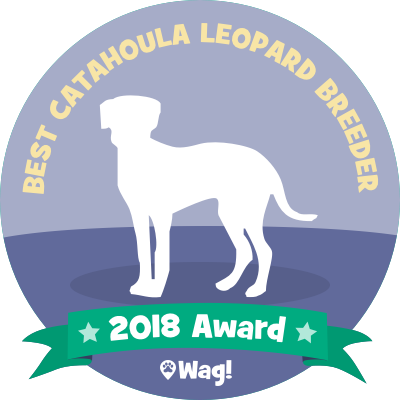 Wag! Breed Wag! - Dog Walking & Boarding