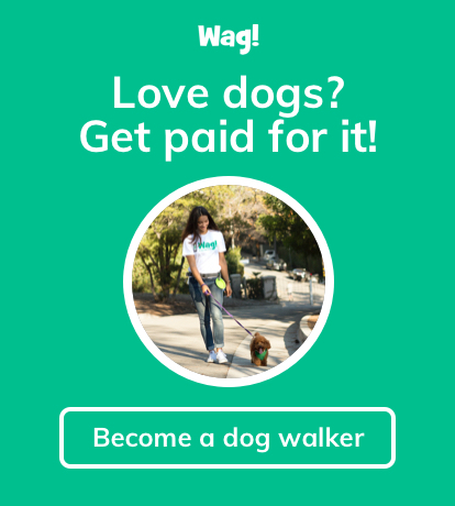 Wag! Dog Walking