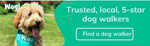 Wag! Dog Walking